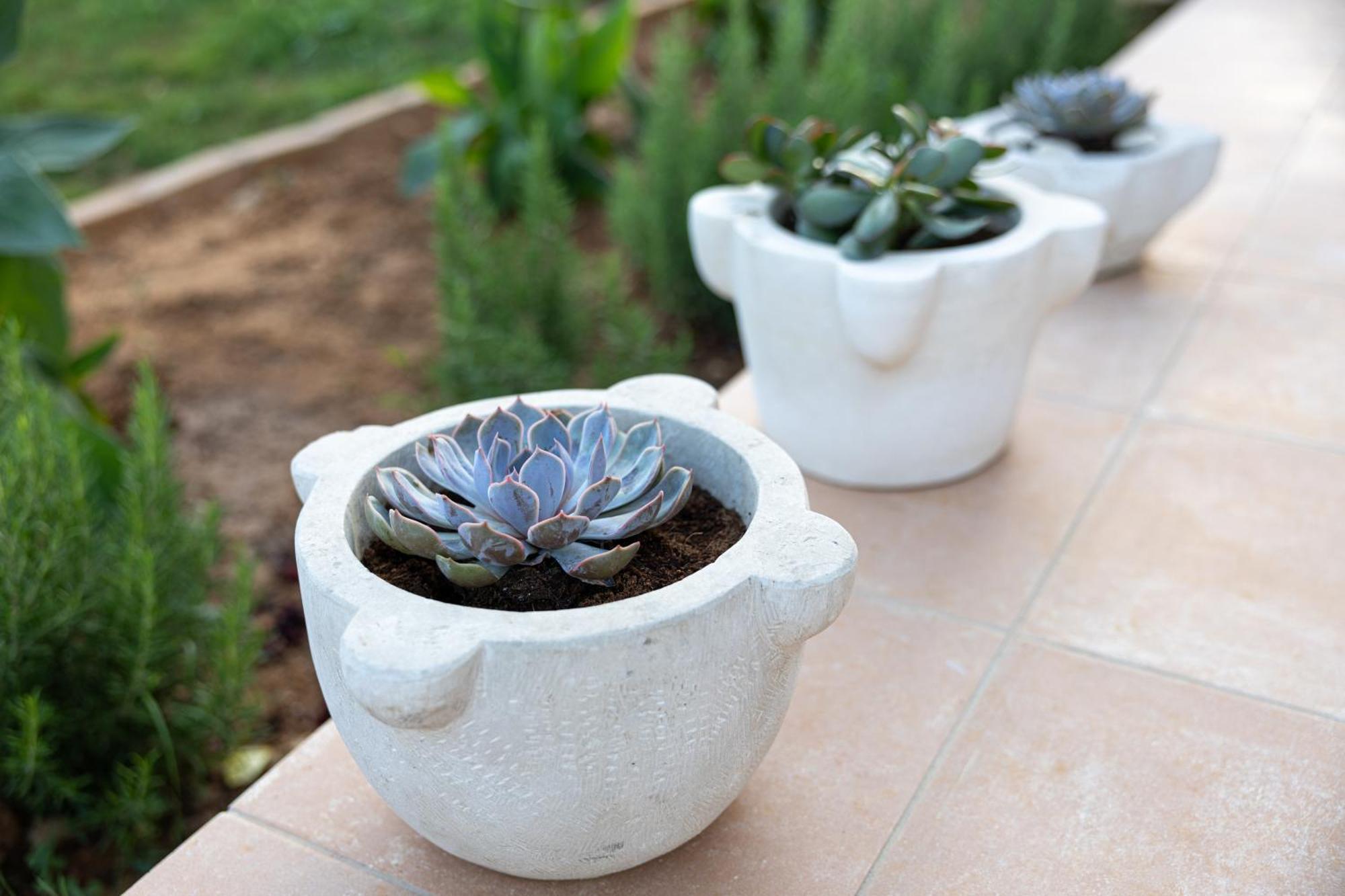 Villa Ruby Pessada Pesadha Ngoại thất bức ảnh